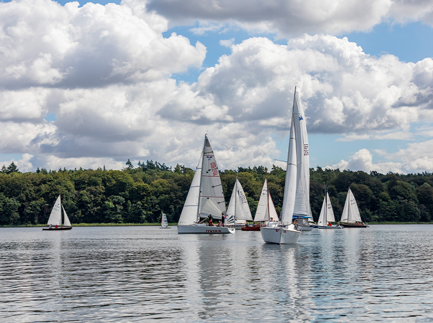 Alle zusammen und für jeden etwas!