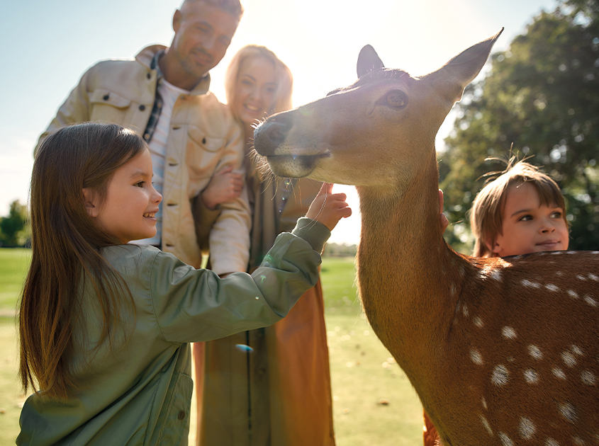 Alle zusammen und für jeden etwas!